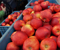 河北省2019年食品安全重点工作安排