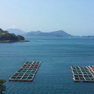 图像加密