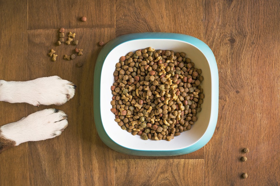 宠物食品检测