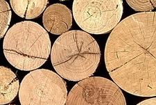 加拿大SPF木材（Spurce-Pine-Fir）
