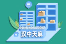 汉中天麻
